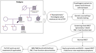 Genetic and environmental factors in interstitial lung diseases: current and future perspectives on early diagnosis of high-risk cohorts